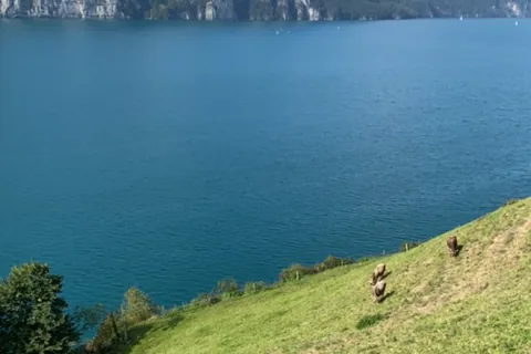 Reisefoto vom 30.09.2023