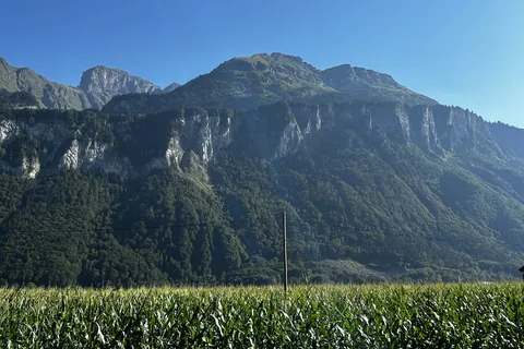 Reisefoto vom 10.08.2024